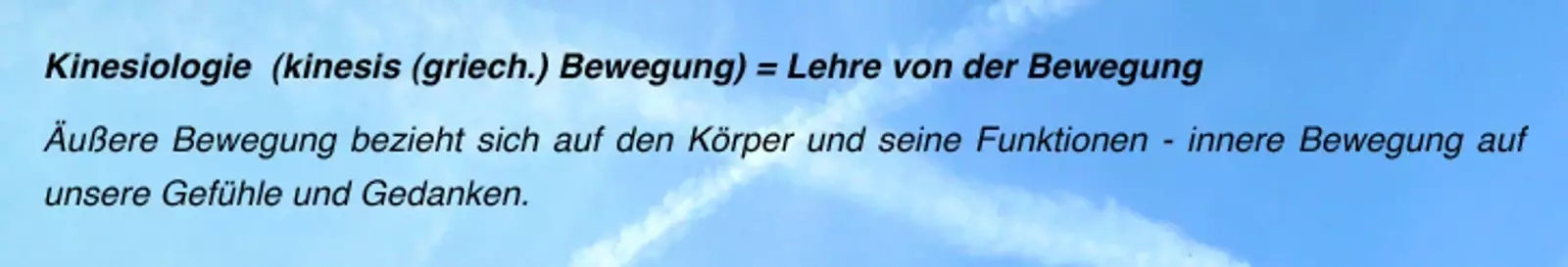 Kinesiologie bedeutung